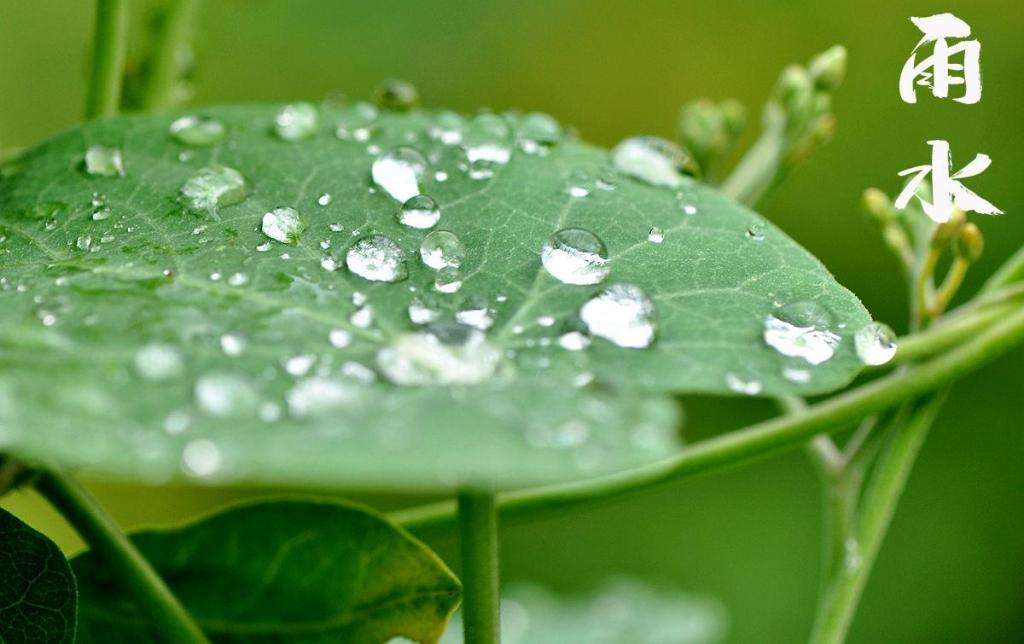 雨水润万物，兼顾沙与泥！